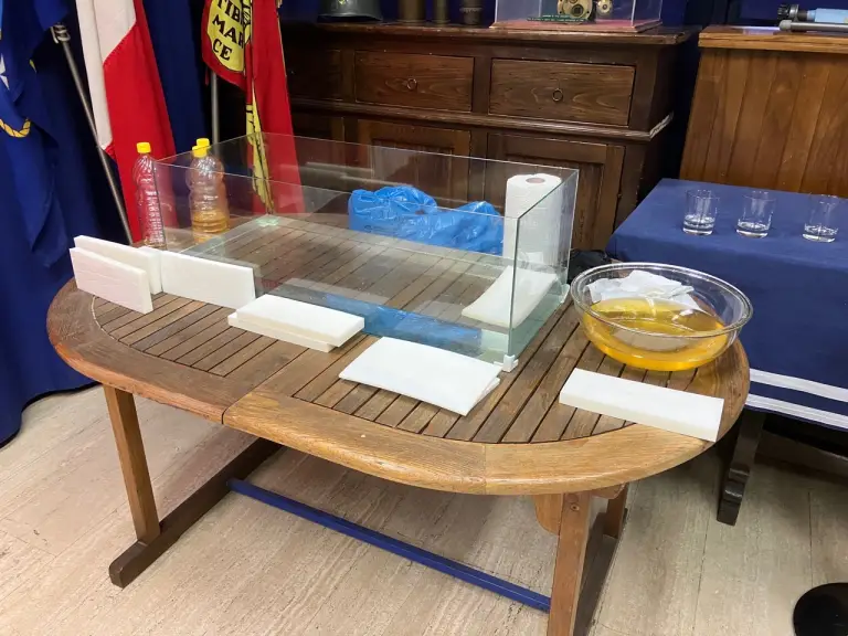 Hyundai - Mission to Blue - 6