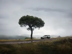 Volvo EX60 Cross Country