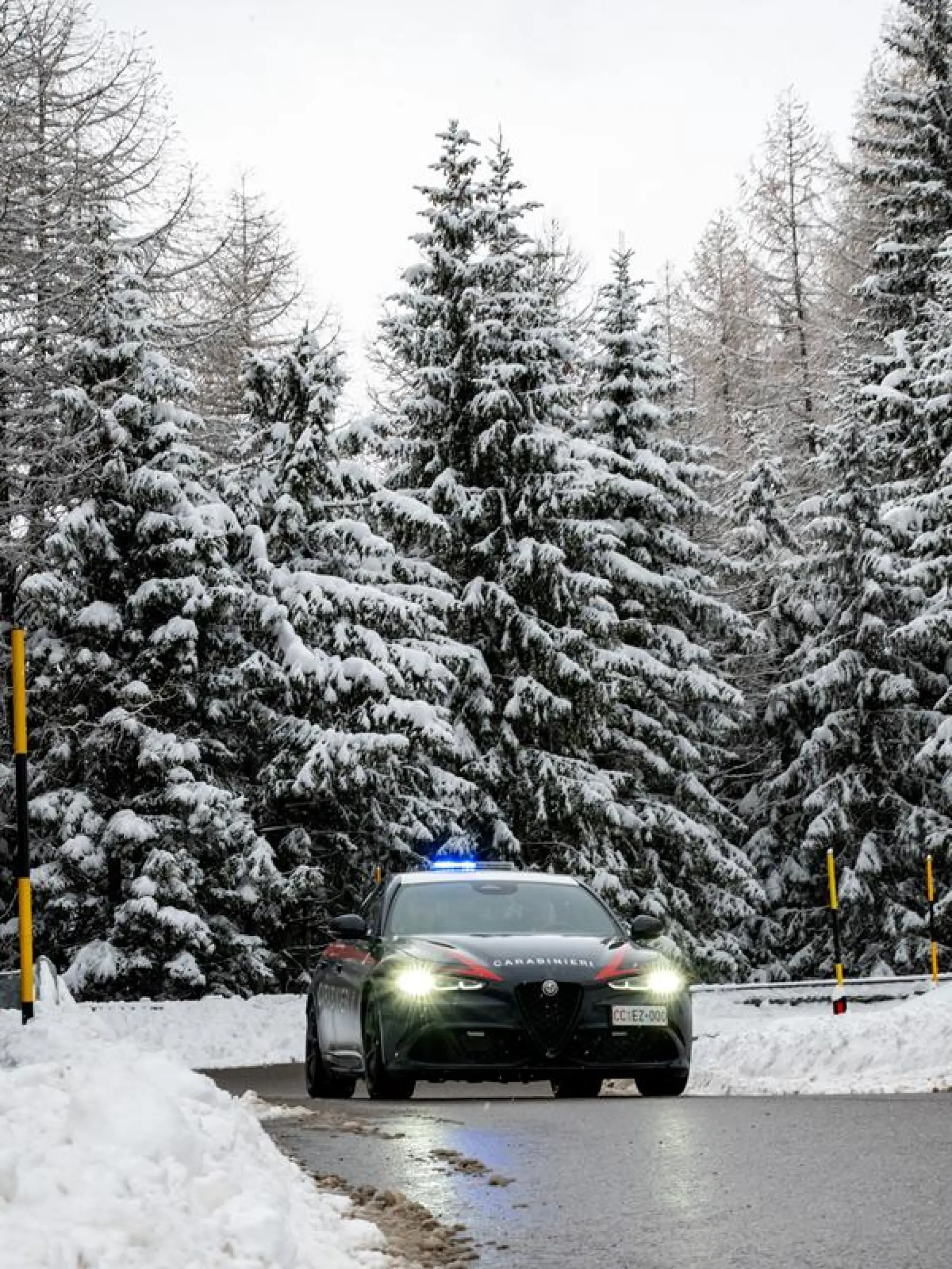 Alfa Romeo Giulia Quadrifoglio Carabinieri 2026 - 6