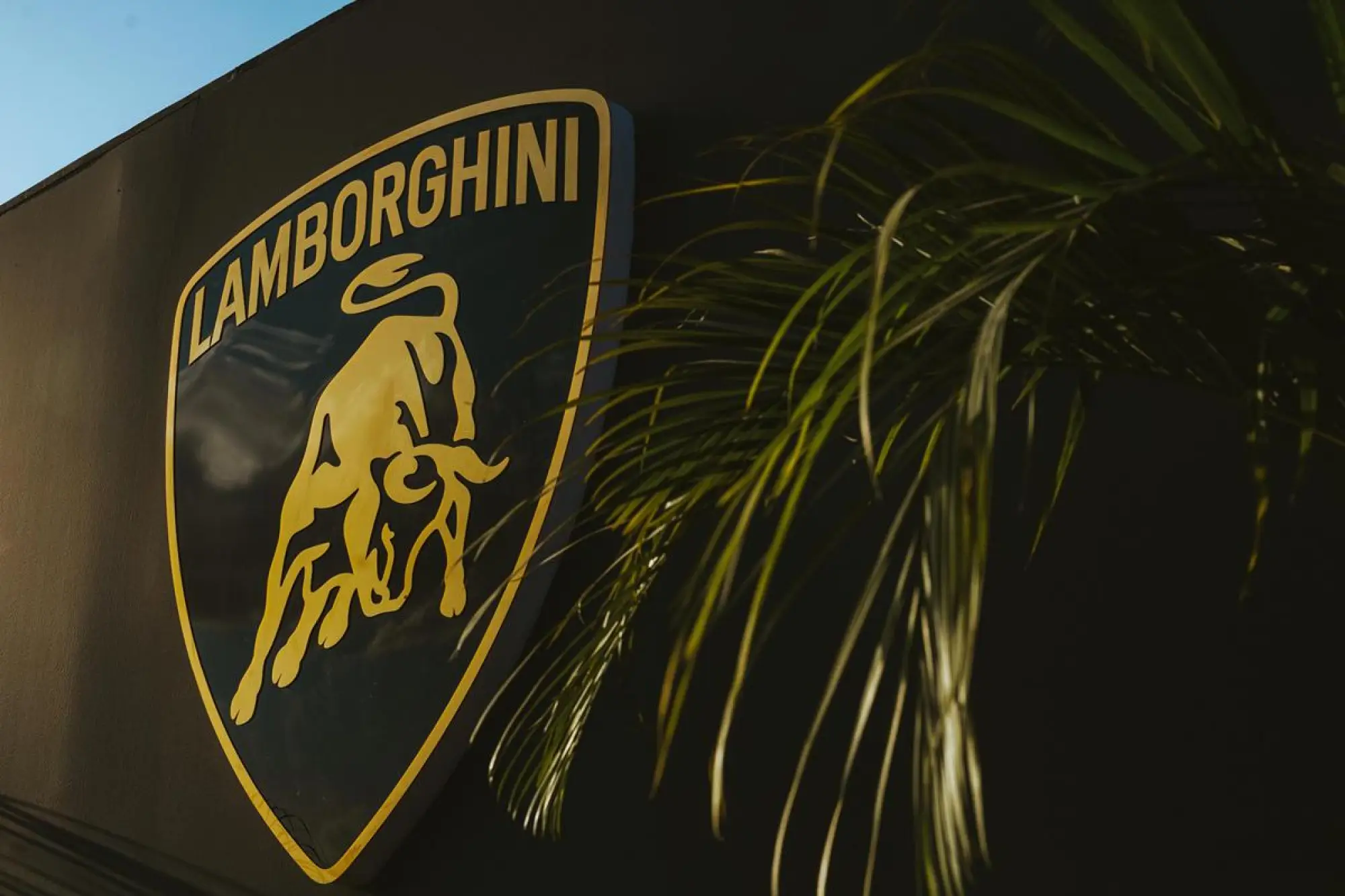 Lamborghini Cairo - 9