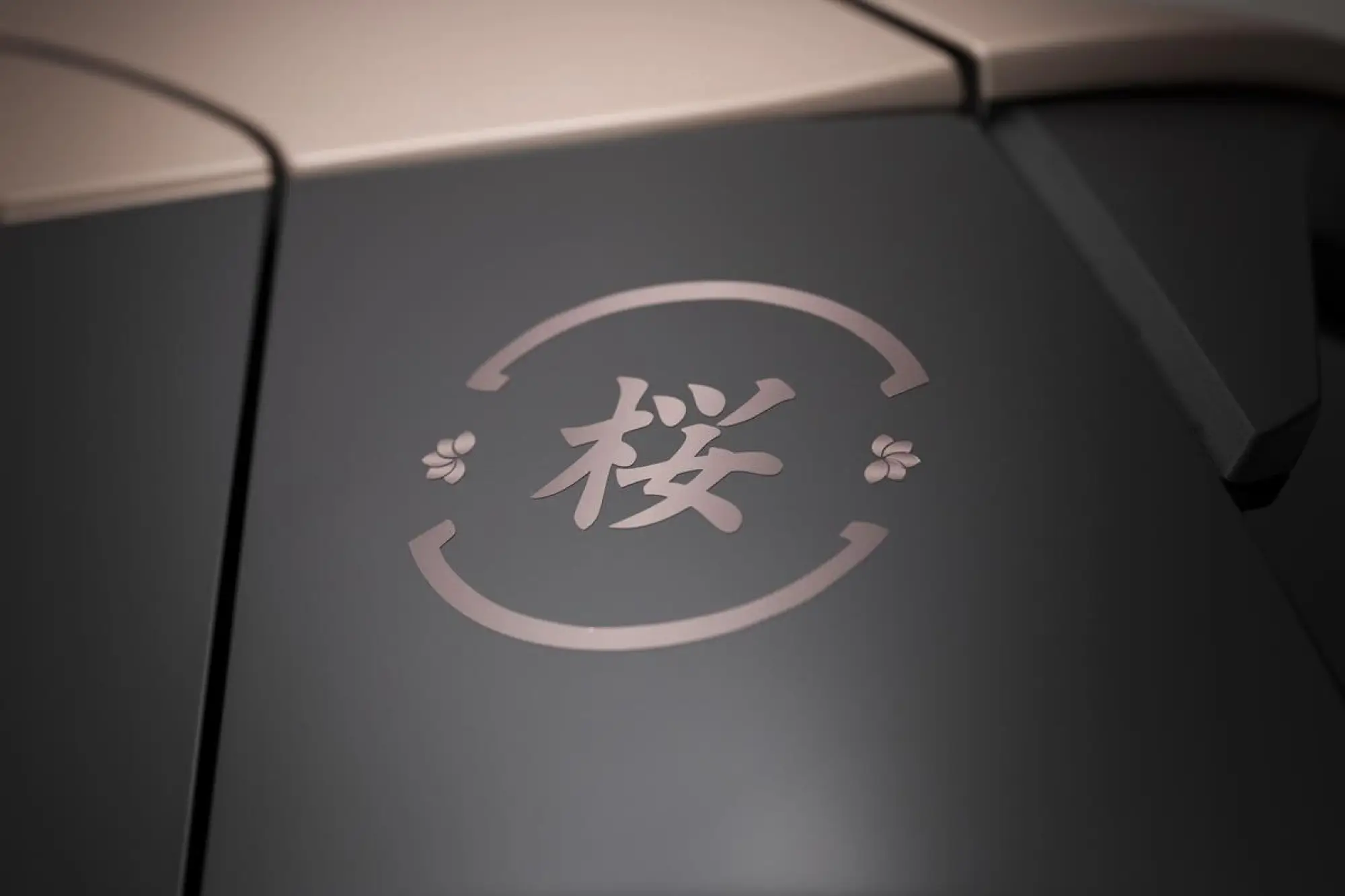 Suzuki Swift Hybrid Sakura - 110