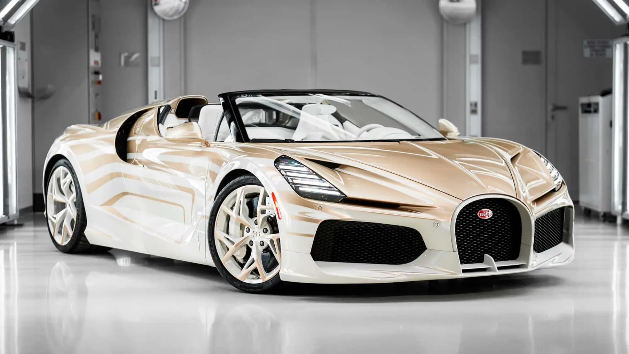 Bugatti Mistral La Perle Rare - 19