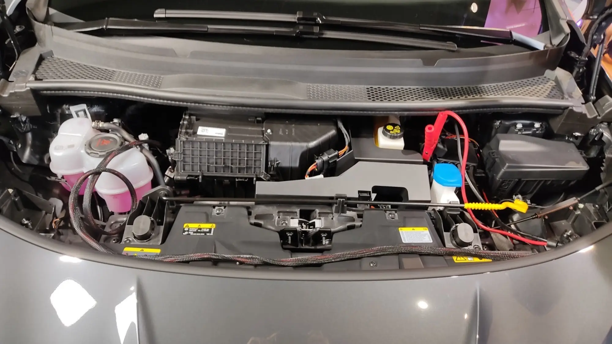 Cupra Born 2026 - Foto live Milano - 22