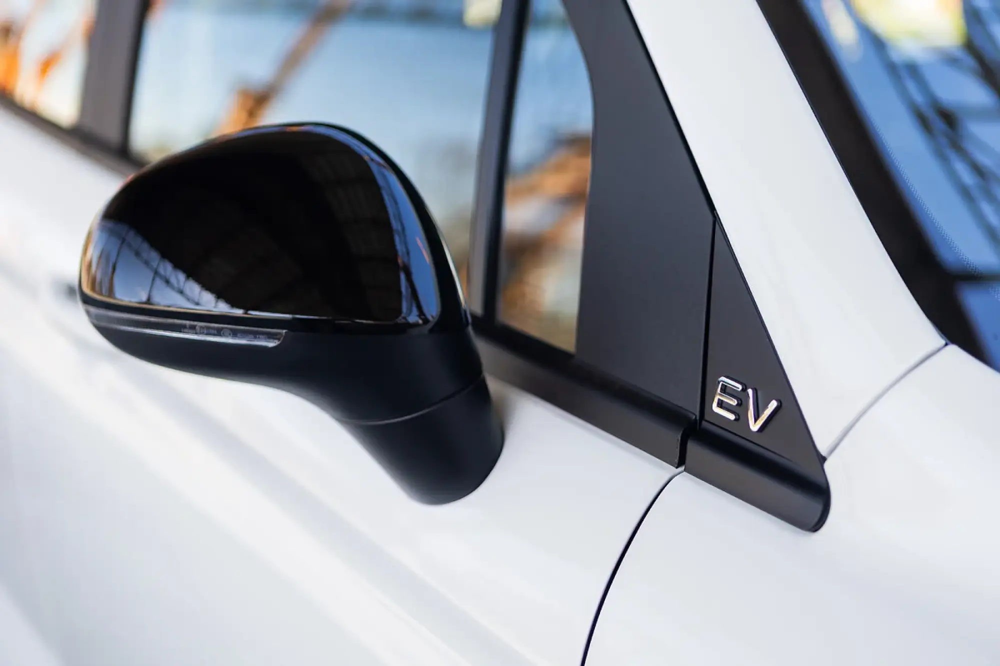 Leapmotor T03 Van - 8