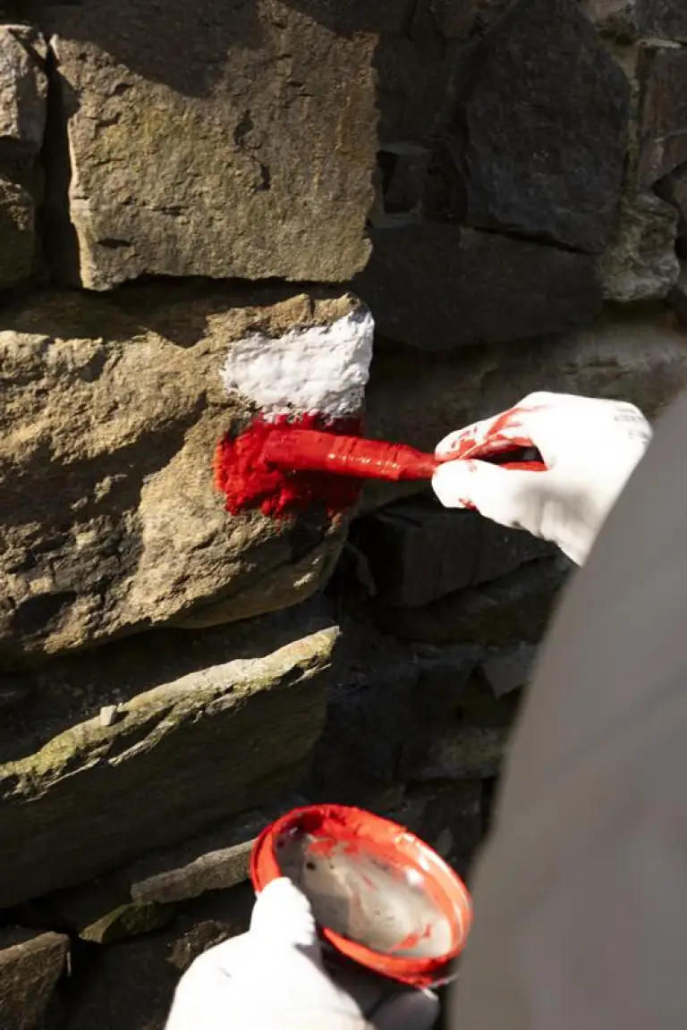 Suzuki Mountain Day - 2