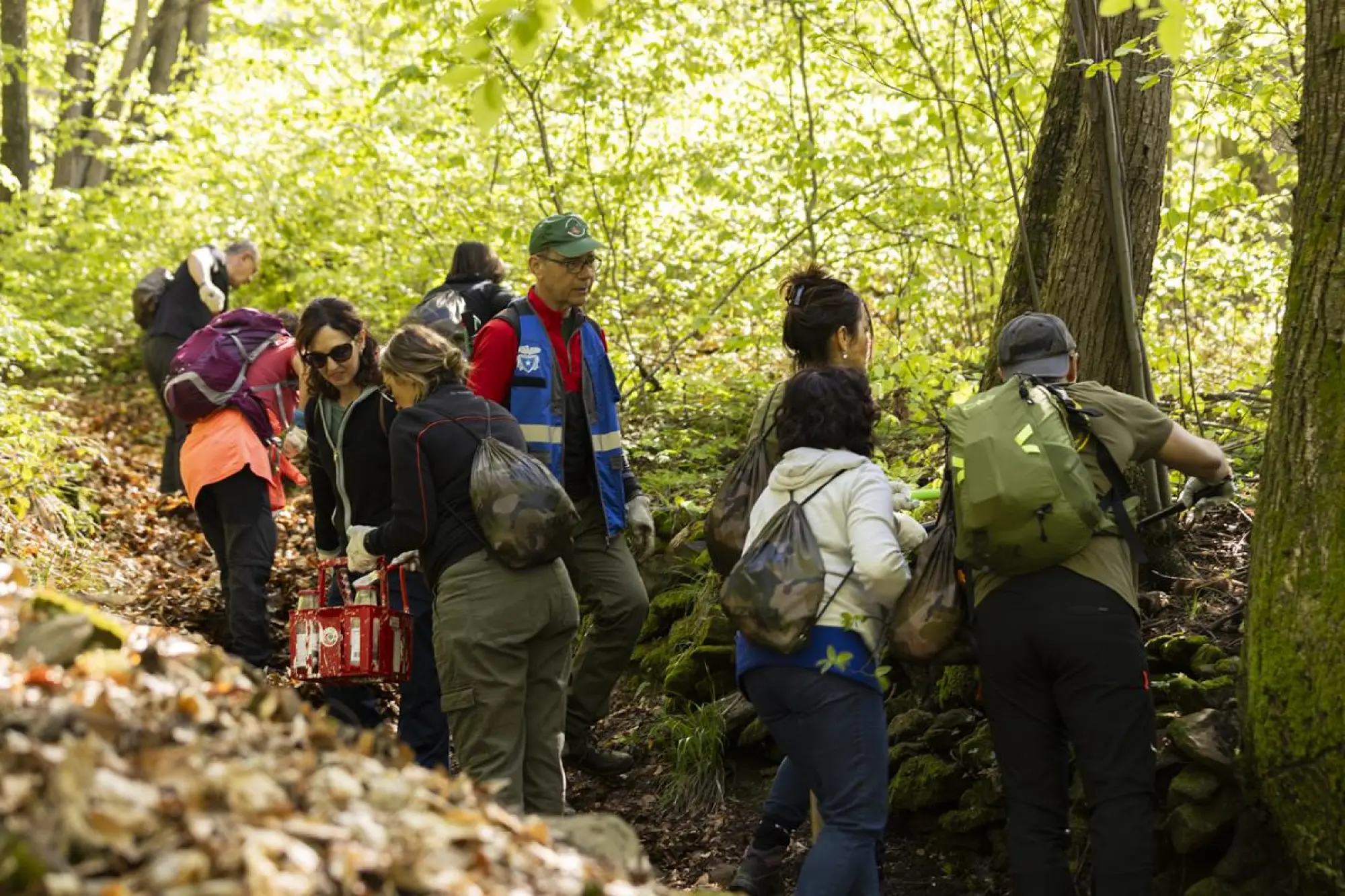 Suzuki Mountain Day - 3