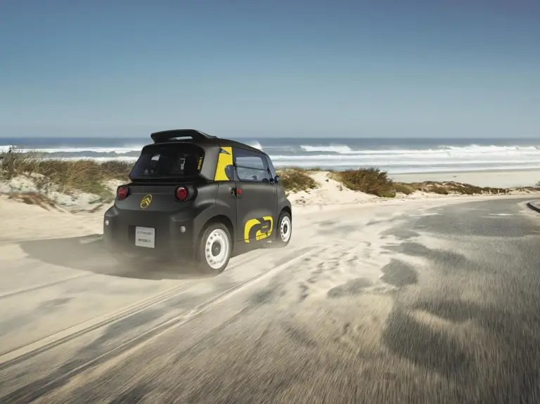 Citroen Ami Rip Curl - 20