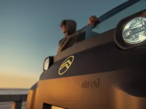 Citroen Ami Rip Curl