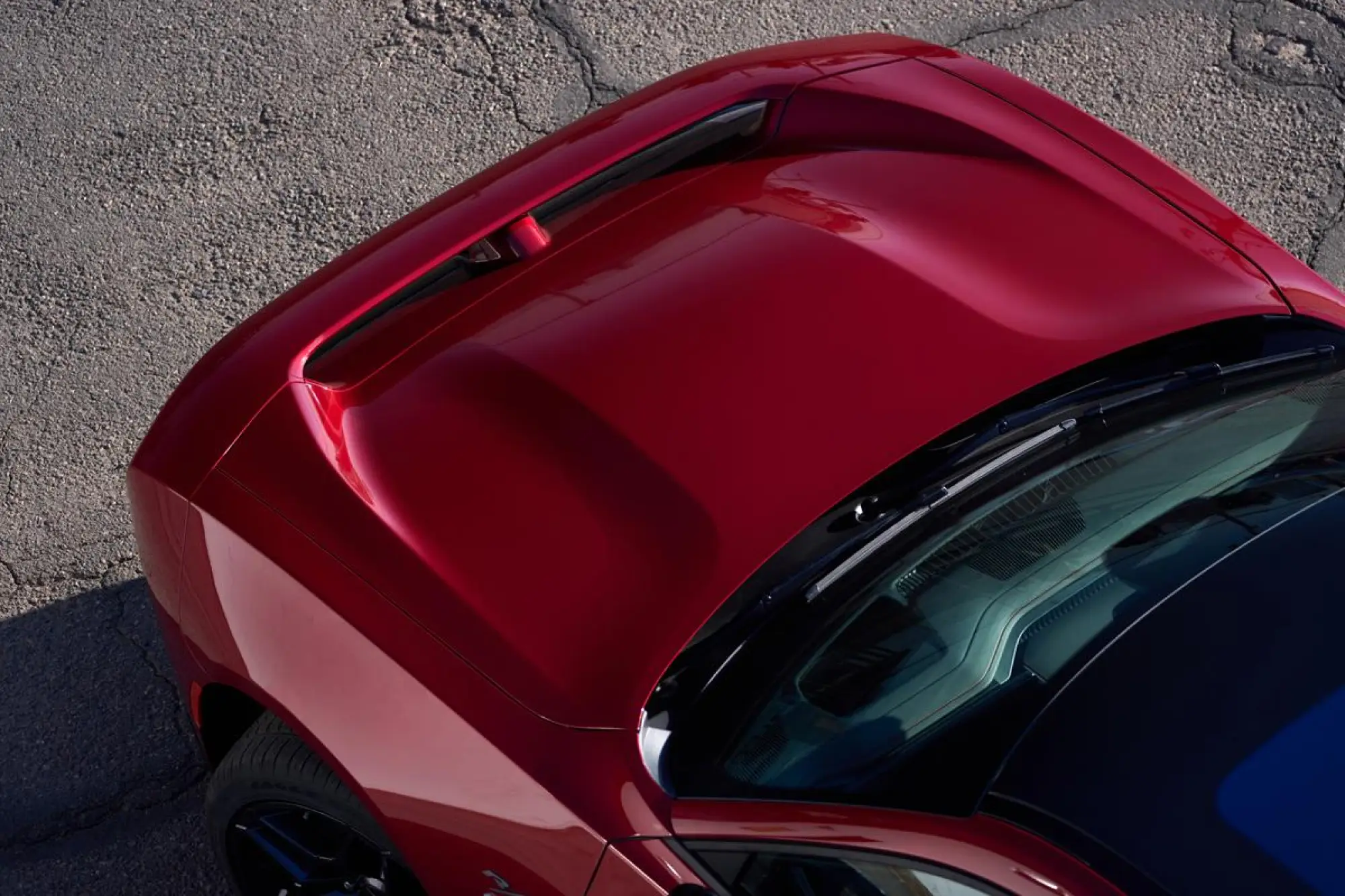 Dodge Charger 2026 - 10