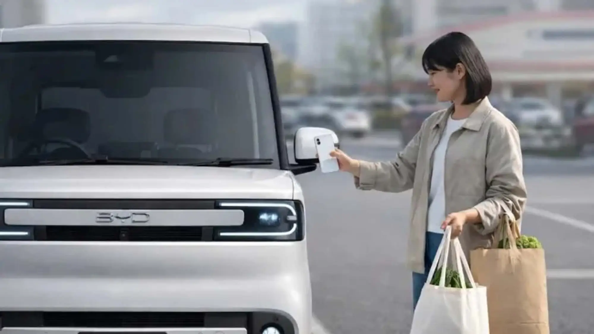 BYD Racco - 6