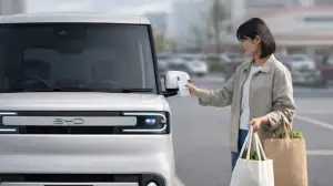 BYD Racco