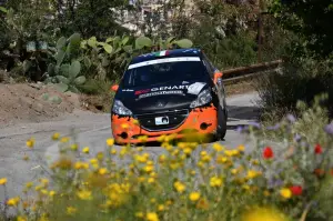 100mo Rally Targa Florio, Campofelice di Roccella 6-8 05 2016