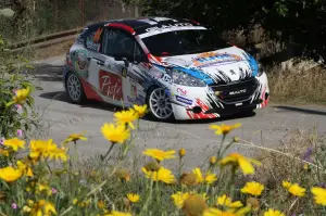 100mo Rally Targa Florio, Campofelice di Roccella 6-8 05 2016