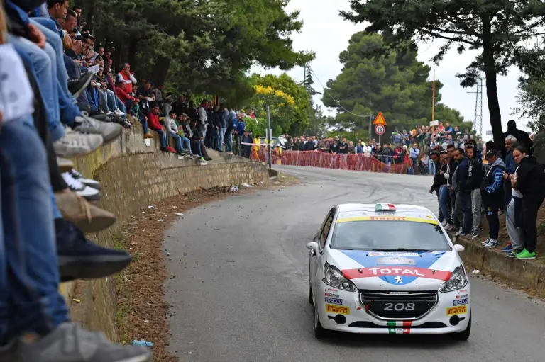 100mo Rally Targa Florio, Campofelice di Roccella 6-8 05 2016 - 39