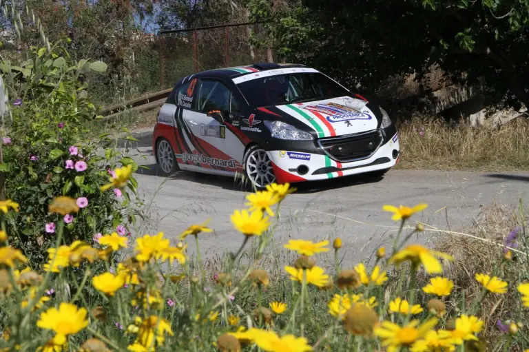 100mo Rally Targa Florio, Campofelice di Roccella 6-8 05 2016 - 401
