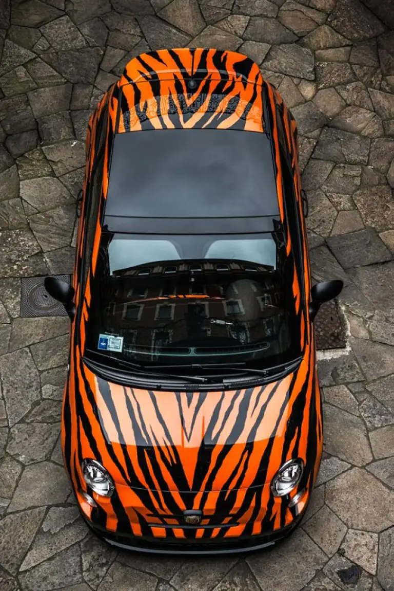 Abarth 500 Tiger - 15