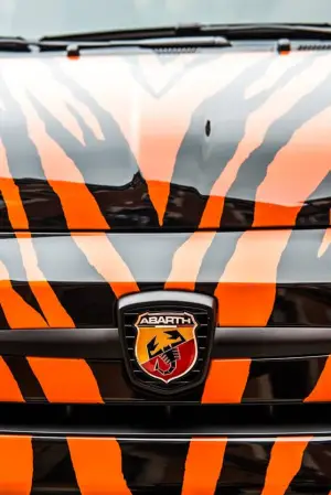 Abarth 500 Tiger  - 6