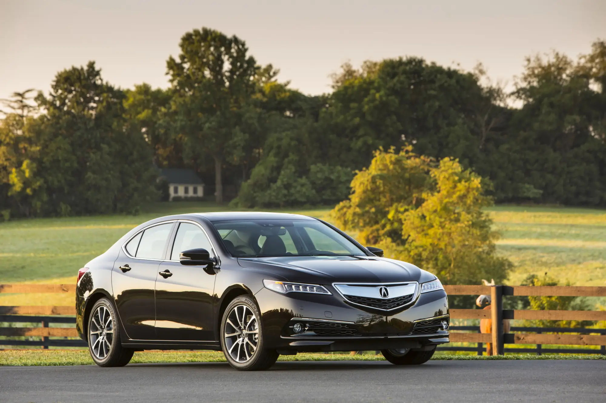 Acura TLX MY 2017 - 14