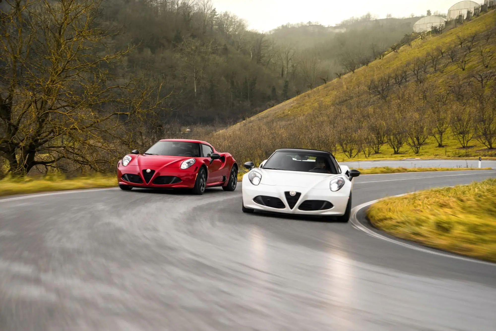 Alfa Romeo 4C Spider   - 3
