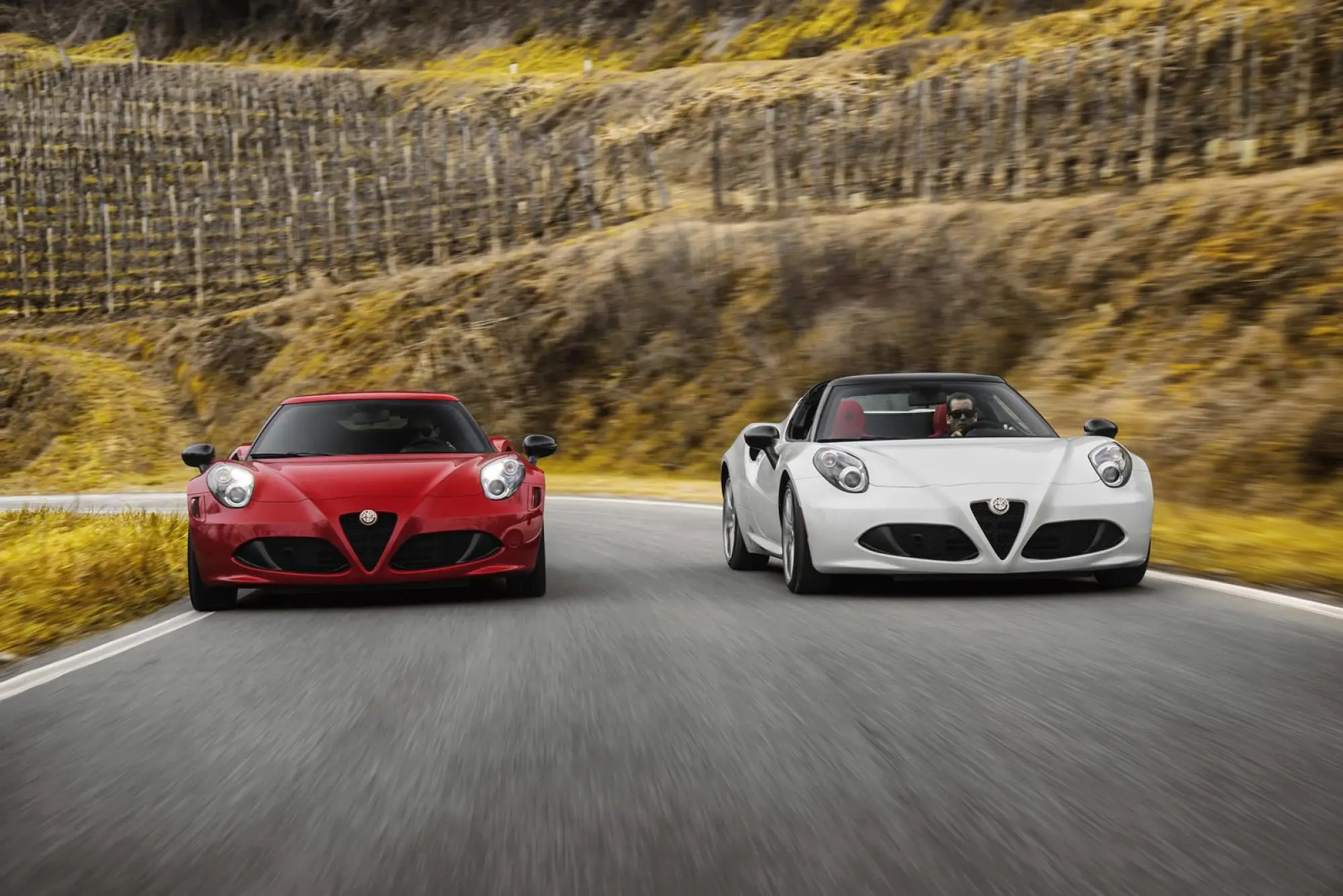 Alfa Romeo 4C Spider   - 10