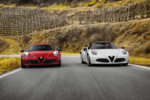 Alfa Romeo 4C Spider   - 10