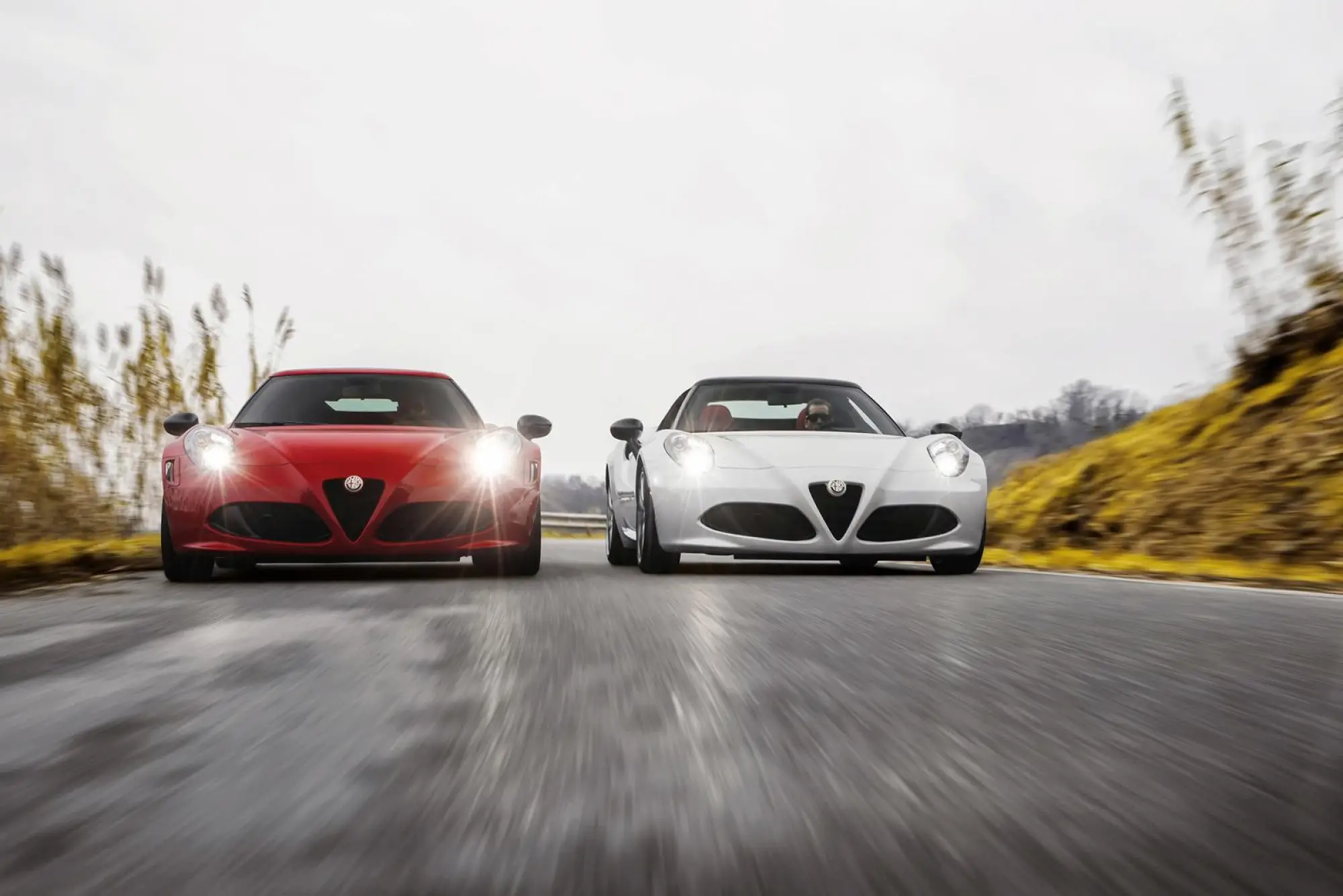 Alfa Romeo 4C Spider   - 48