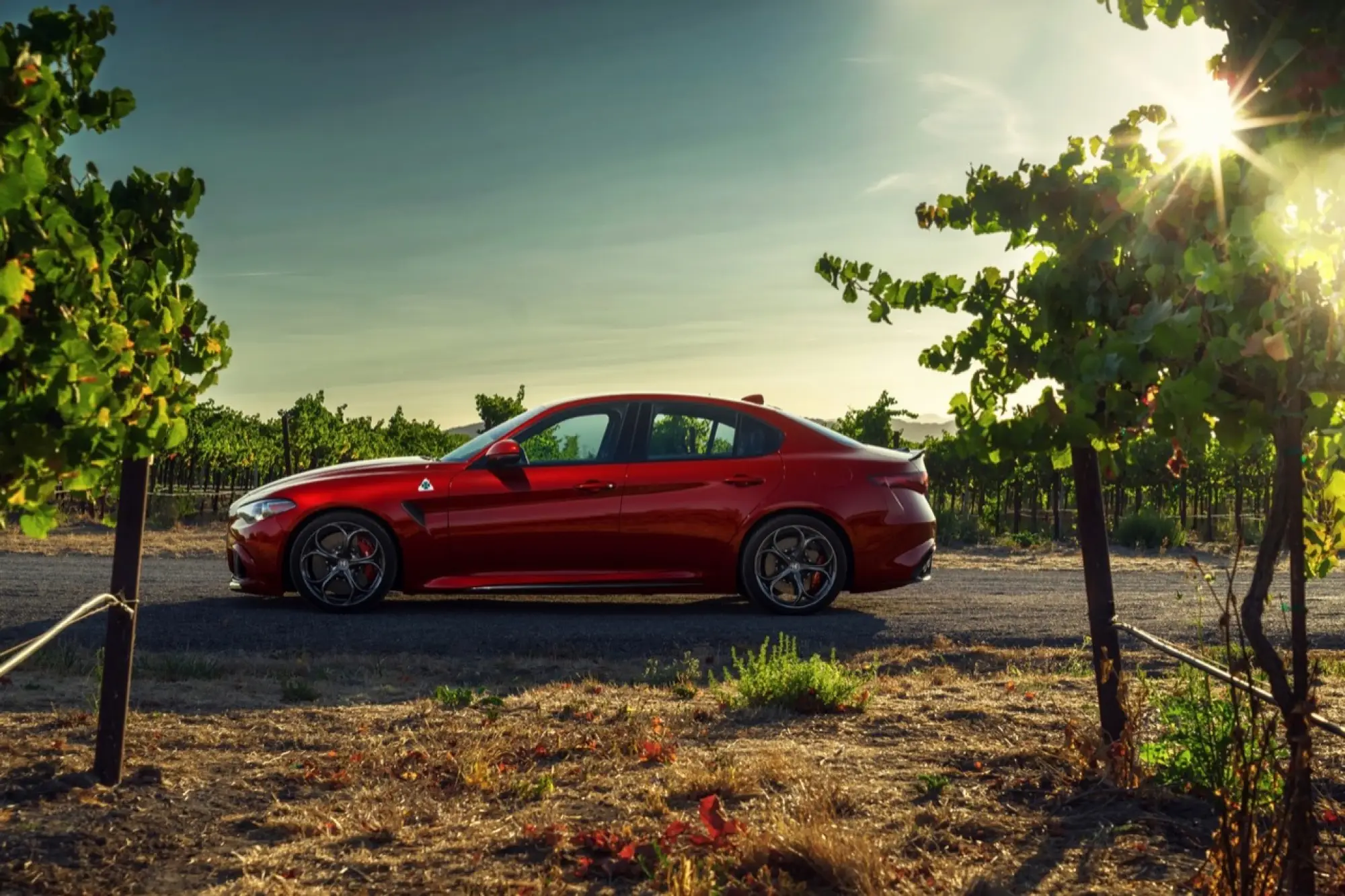 Alfa Romeo Giulia Quadrifoglio - versione per gli Stati Uniti - 45