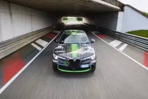 Alfa Romeo Stelvio Quadrifoglio - Gumball 3000 - Balocco e Montecarlo