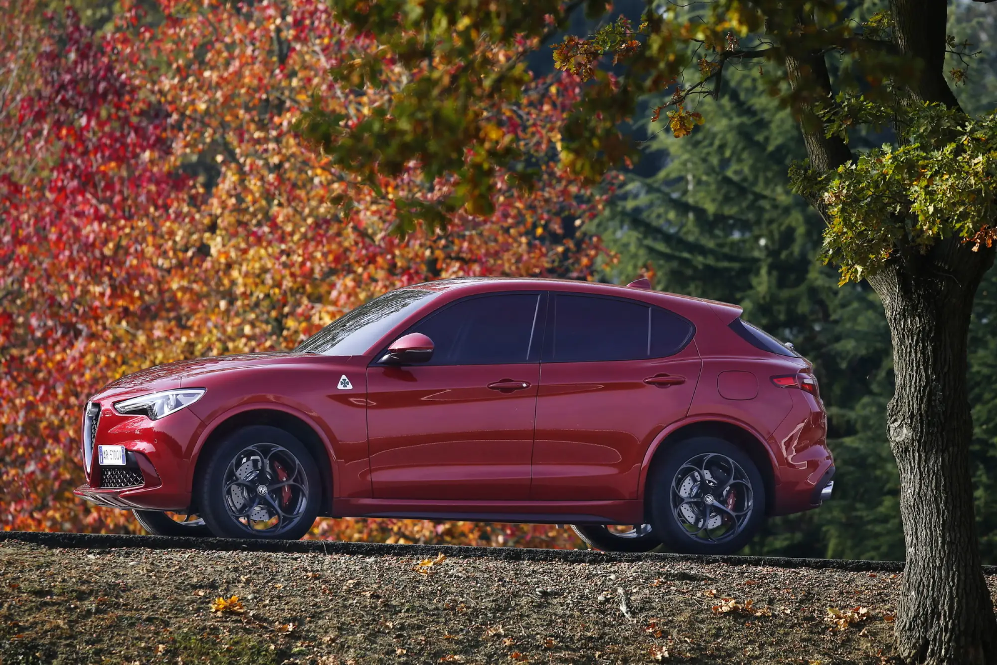 Alfa Romeo Stelvio Quadrifoglio - 53