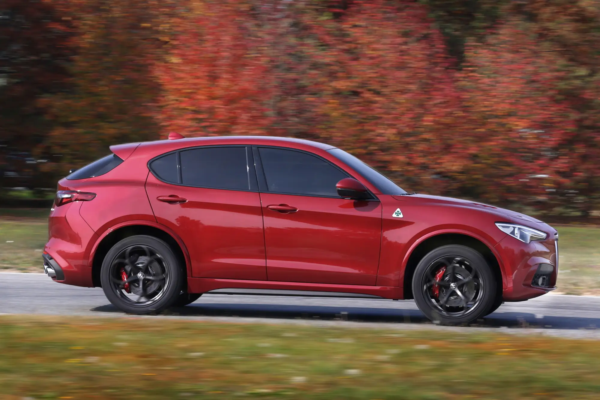 Alfa Romeo Stelvio Quadrifoglio - 60