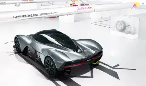 AM-RB 001