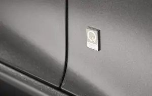 Aston Martin - Pebble Beach 2014