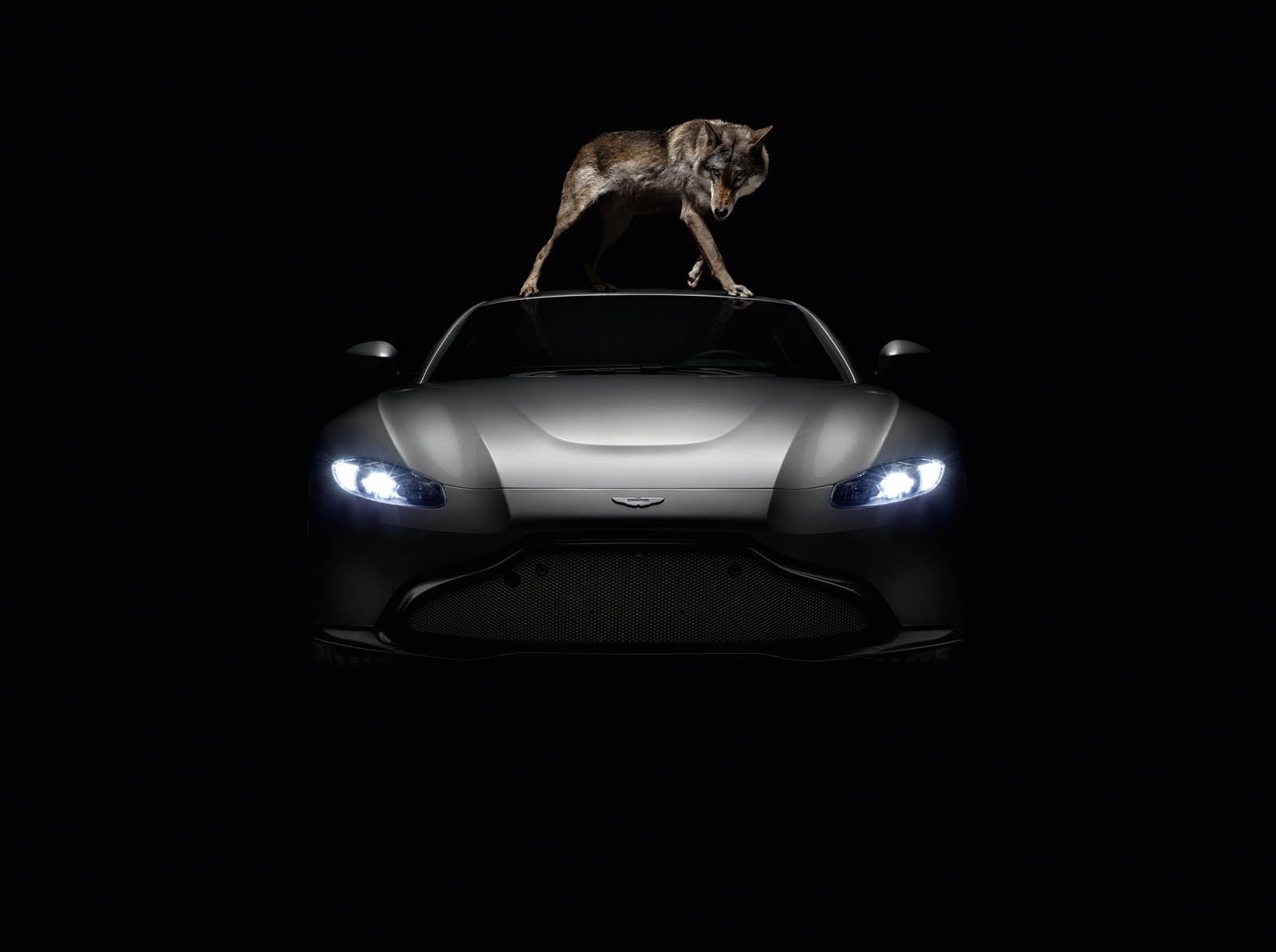 Aston Martin Vantage - Foto Rankin