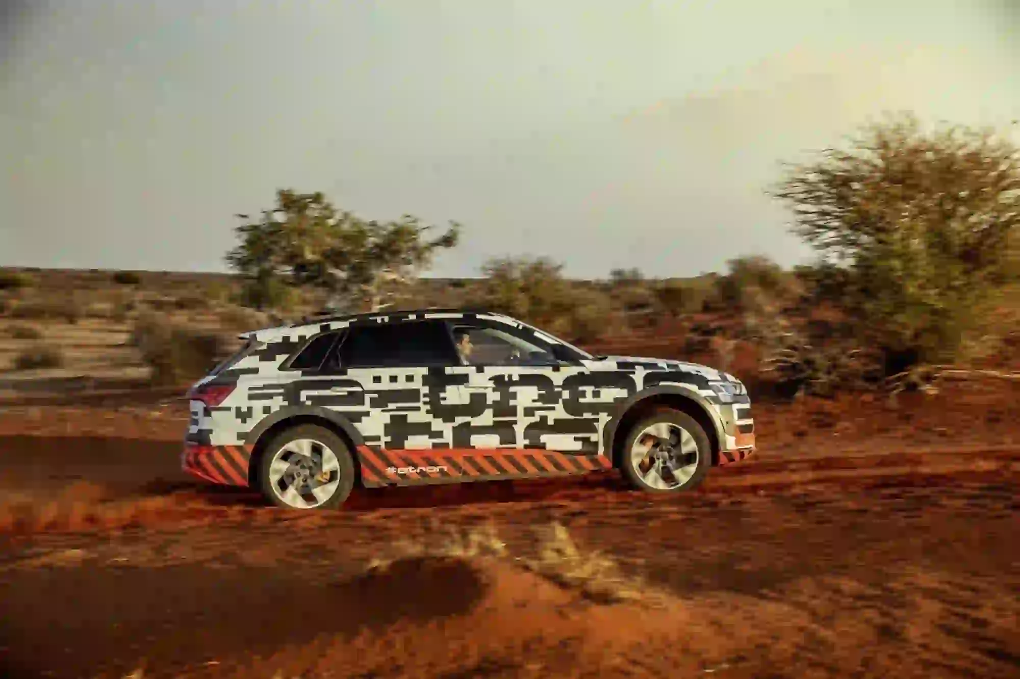 Audi e-tron Prototipo - Namibia - 15