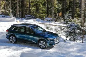 Audi e-tron - Prova Tonale - 50