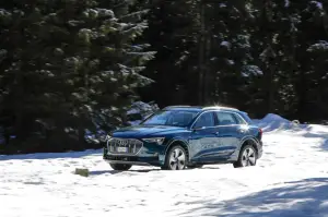 Audi e-tron - Prova Tonale - 52