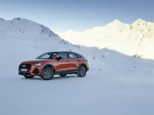 Audi Q3 e Q3 Sportback 2021 