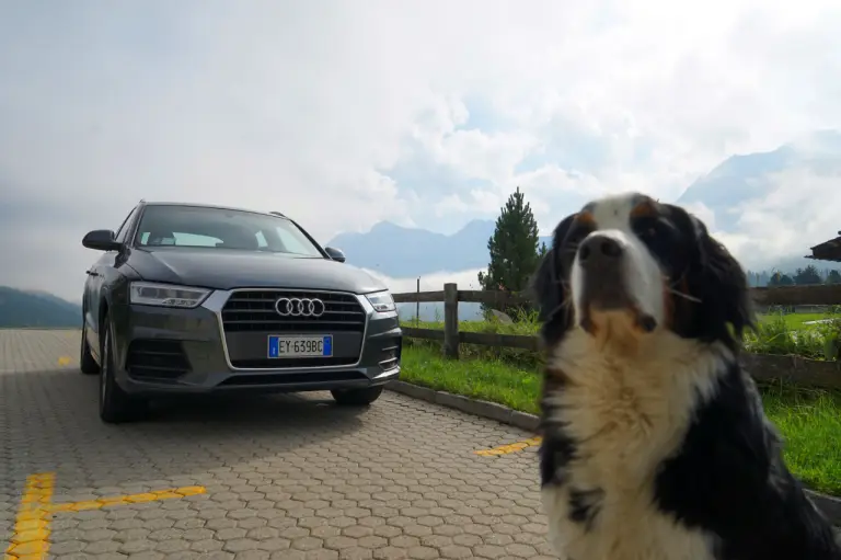 Audi Q3 TDI 150CV Sport - Prova su strada 2015 - 34