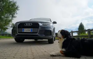 Audi Q3 TDI 150CV Sport - Prova su strada 2015