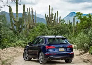 Audi Q5 MY 2017 - foto - 113