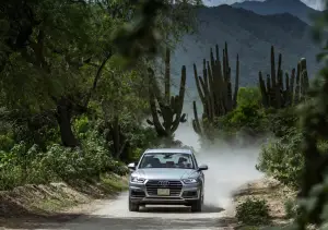 Audi Q5 MY 2017 - foto - 132