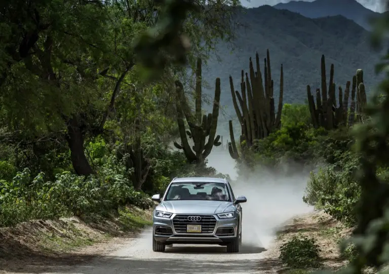 Audi Q5 MY 2017 - foto - 132