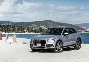 Audi Q5 MY 2017 - foto - 73