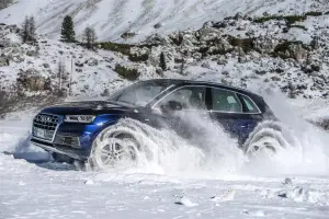 Audi Q5 MY 2017 in Alta Badia