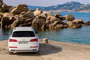 Audi Q5 TFSI e quattro - Sardegna - 3