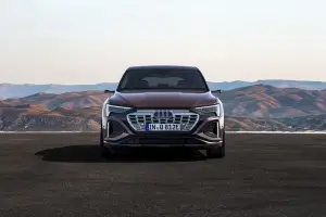 Audi Q8 e-tron e Q8 Sportback e-tron - 104