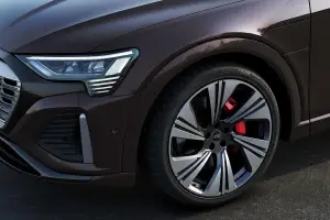 Audi Q8 e-tron e Q8 Sportback e-tron