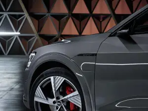 Audi Q8 e-tron e Q8 Sportback e-tron - 36
