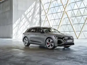 Audi Q8 e-tron e Q8 Sportback e-tron