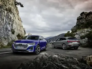 Audi Q8 e-tron e Q8 Sportback e-tron - 77